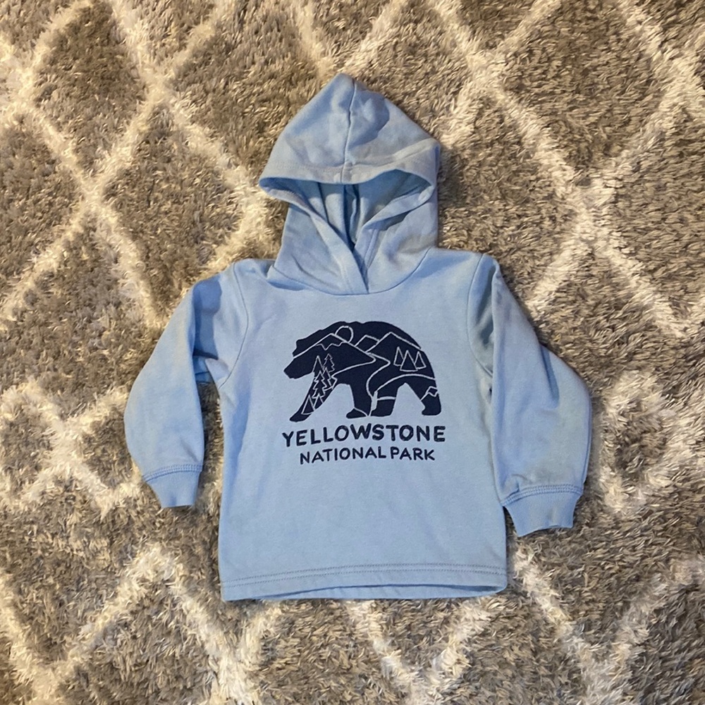 Toddler Boy Hoodie
